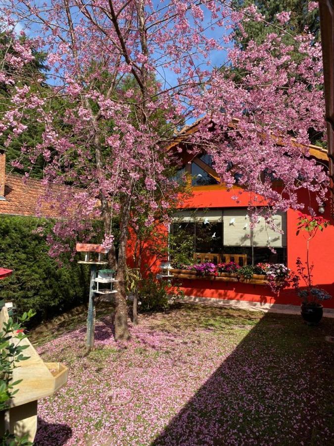Aconchegante Casa Em Monte Verde Monte Verde  Εξωτερικό φωτογραφία